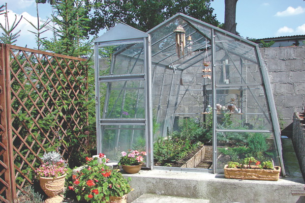 Osłonięte przed wiatrem i niepogodą rośliny mniej chorują i dużo szybciej rosną.