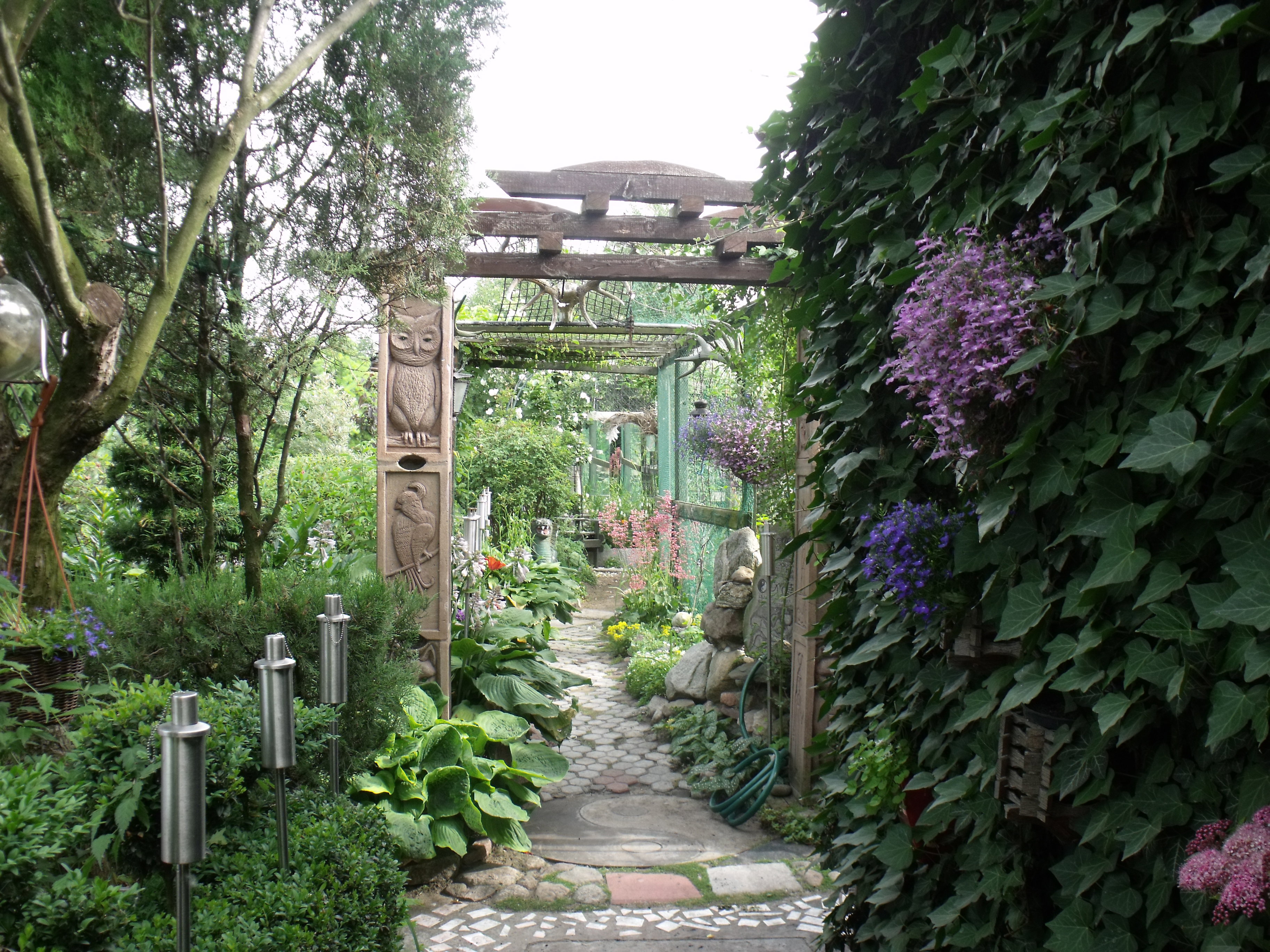 Oto ścieżka główna prowadząca do mojego zakątka.Po prawej stronie jest oczko wodne odgrodzenie obsadzam pnączami, samo ogrodzenie jest zabezpieczeniem przed wtargnięciem dzieci.Lewa strona mojego małego raju to kącik ,kwiaty ,krzewy drzewa ,powojniki . 