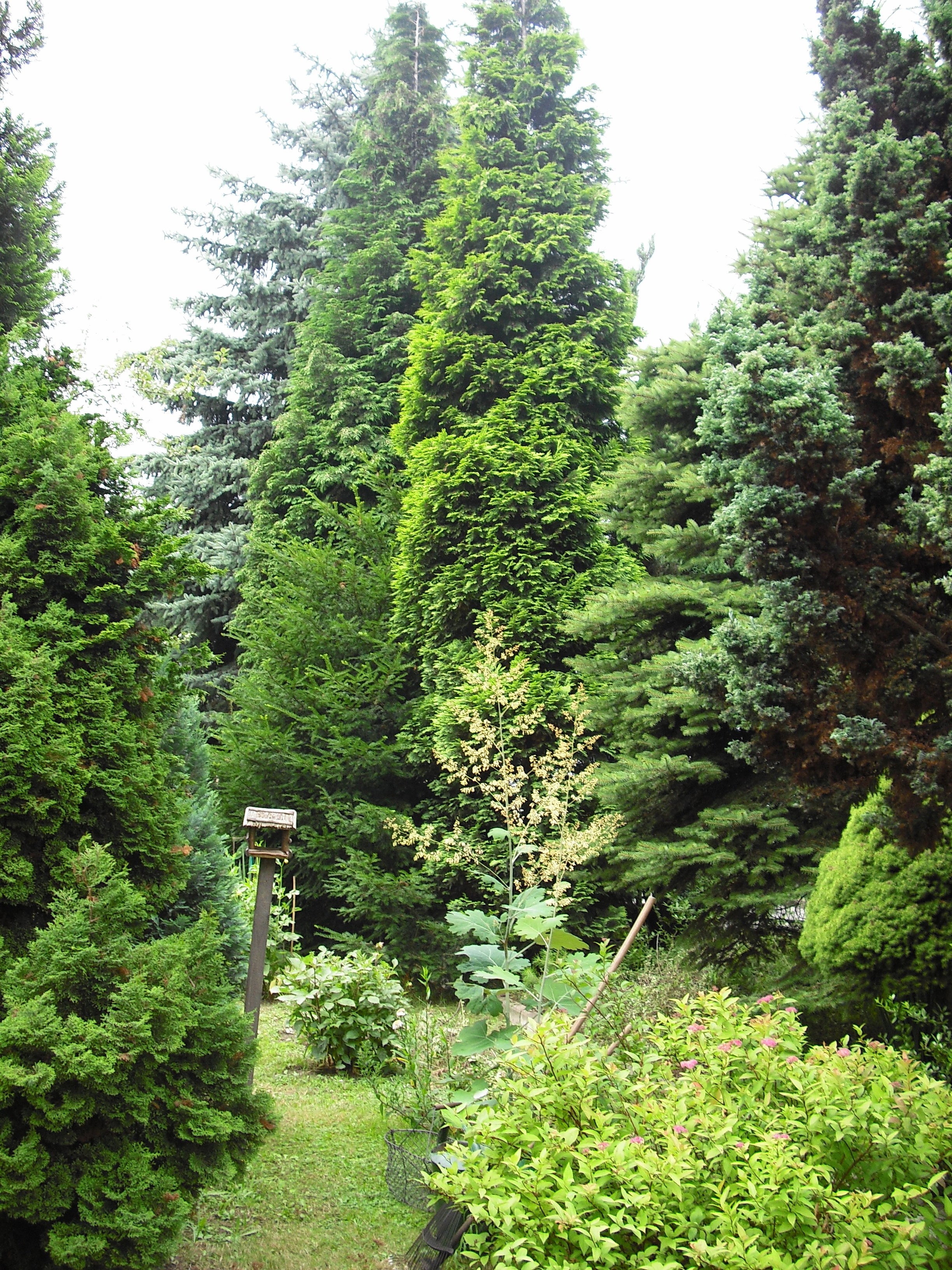 Pamiętają początki