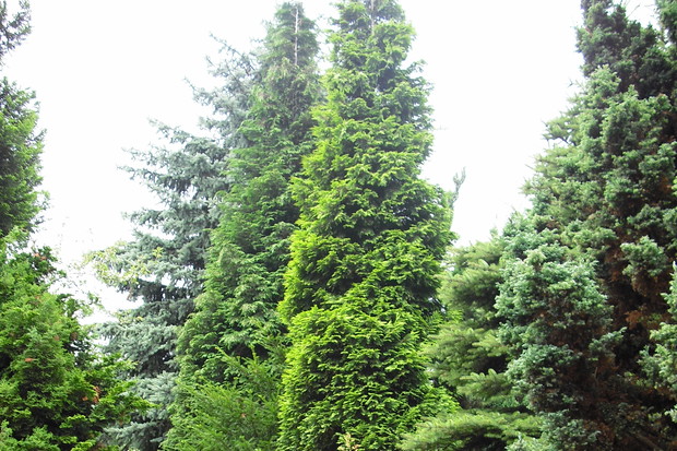 Pamiętają początki