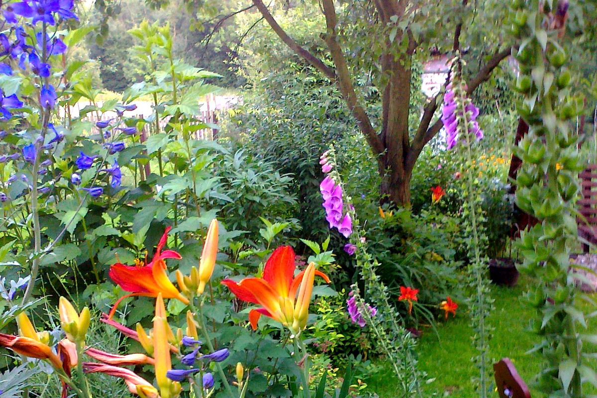 Piękna mieszanka,ostróżki,liliowce,naparstnice