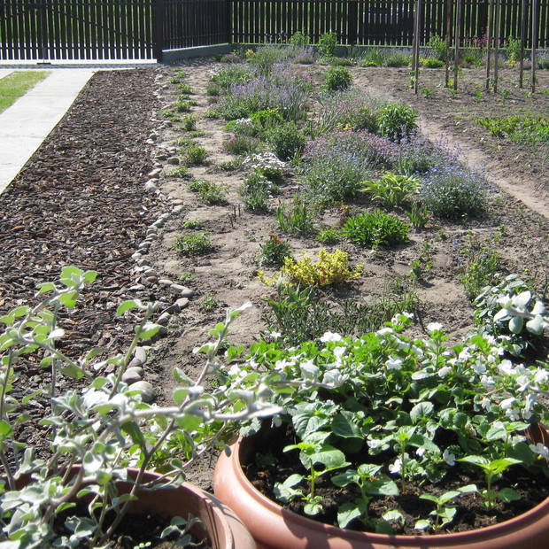 Początek rok 2011- wiosna