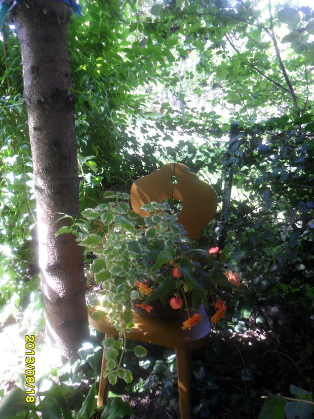 przeniosłam do cienia może im to miejsce lepiej będzie odpowiadac