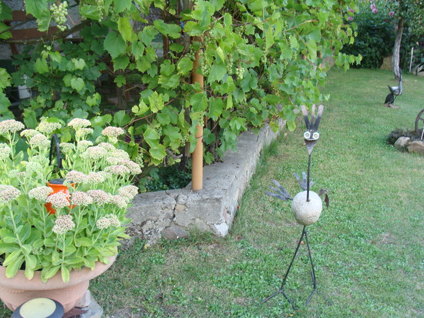 ptak zrobiony przez mojego męża