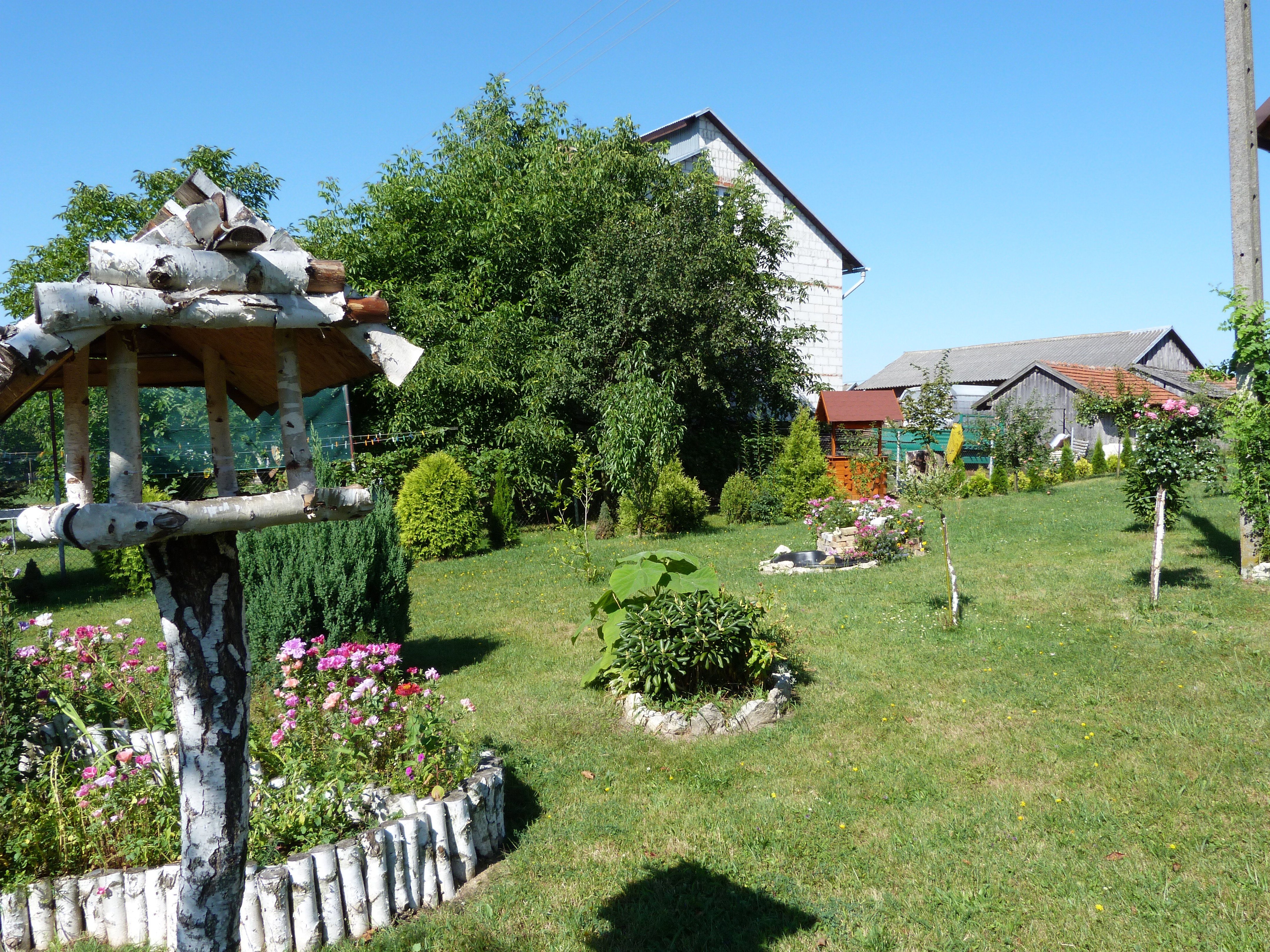 Ptasznik - strażnik ogrodu.