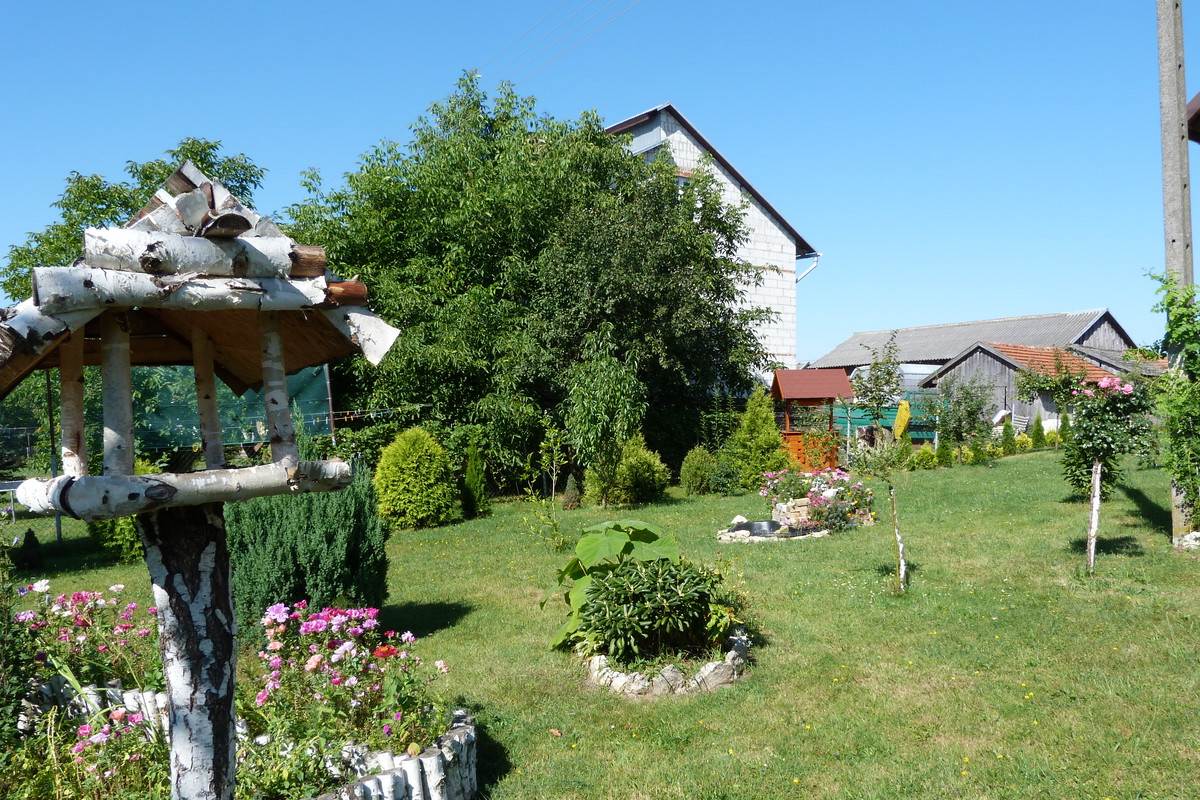 Ptasznik - strażnik ogrodu.