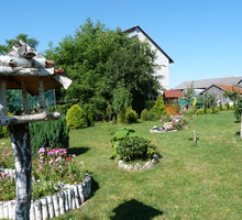 Ptasznik - strażnik ogrodu.