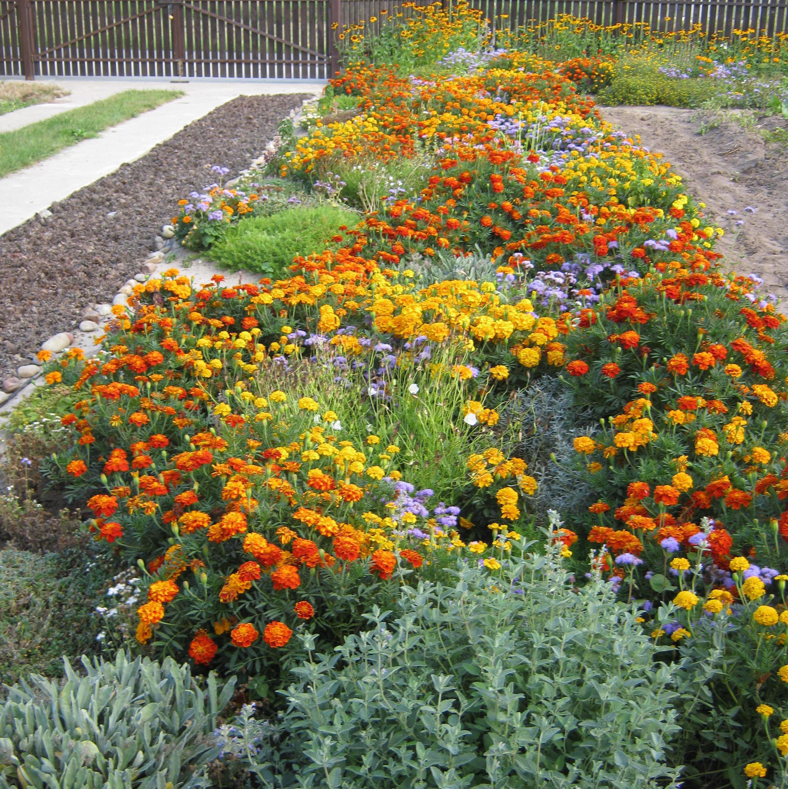 Rabata w rozmiarze xxl. Rok 2013 - lato