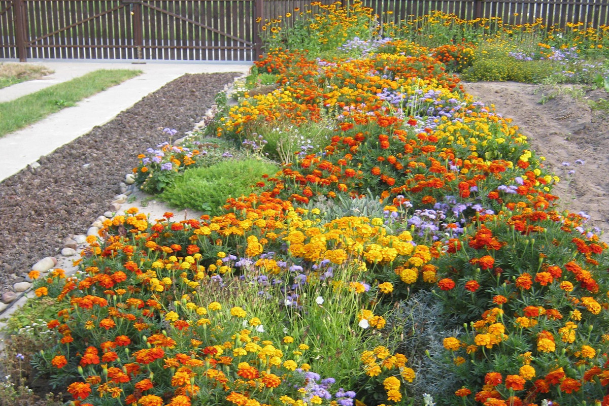 Rabata w rozmiarze xxl. Rok 2013 - lato