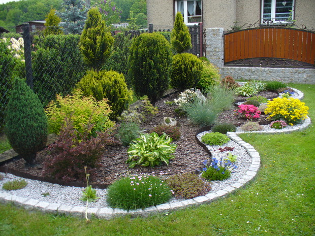 Rabata z krzewami , iglakami i mnóstwem skalniaków. Najstarsza w moim ogrodzie.