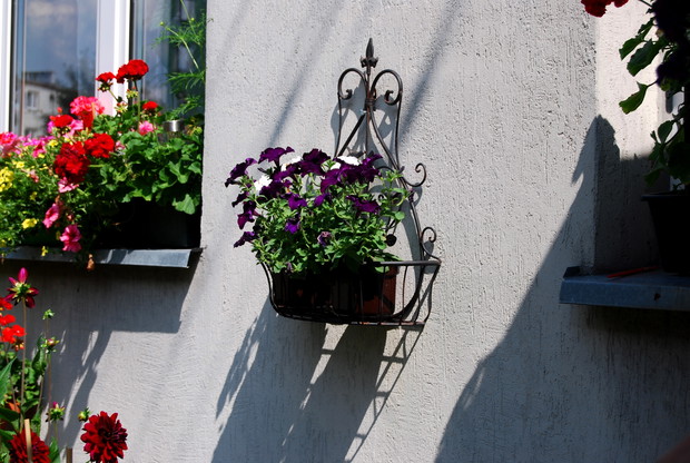 Romantyczny kwietnik zawisł dzięki uprzejmości spółdzielni mieszkaniowej.