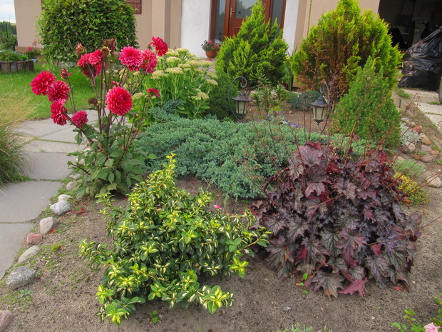 Roślinność na wyspie przed domem