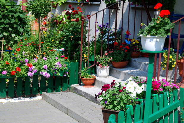 Rośliny jednoroczne ozdabiają skrzynki ogrodowe.