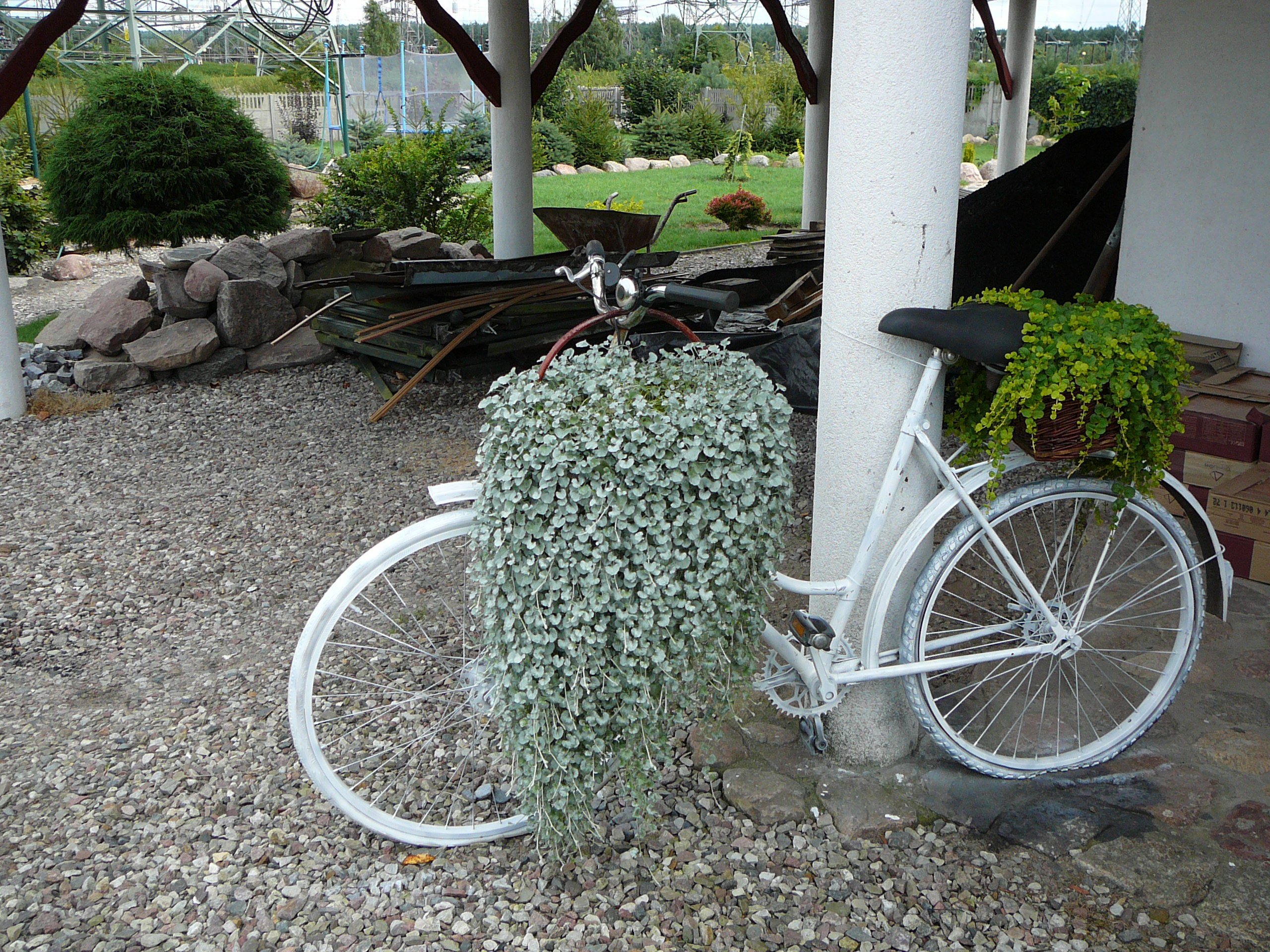 rowerek mi trochę zarósł...