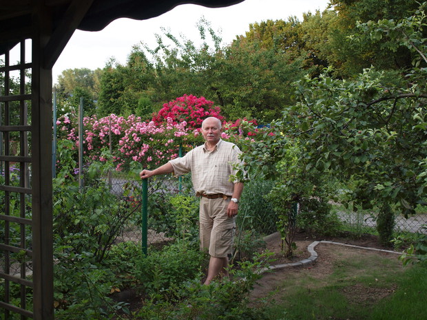 Różana pasja teścia :)