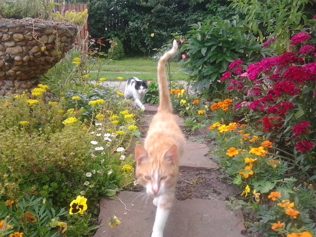 Ścieżka spacerowa :)