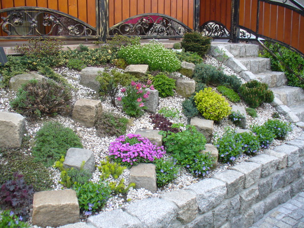 Skalniak pod tarasem. Królestwo floksów,sasanek, a teraz lawendy i innych bylin.