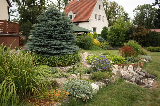 skalniaki z różnymi roślinami i niskimi trawami - czerwona to trawa "Red Baron"