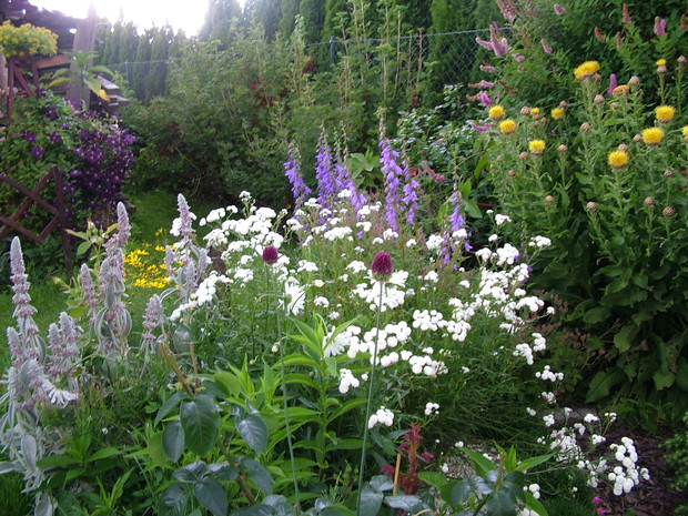 Ta sama rabata z innego ujęcia