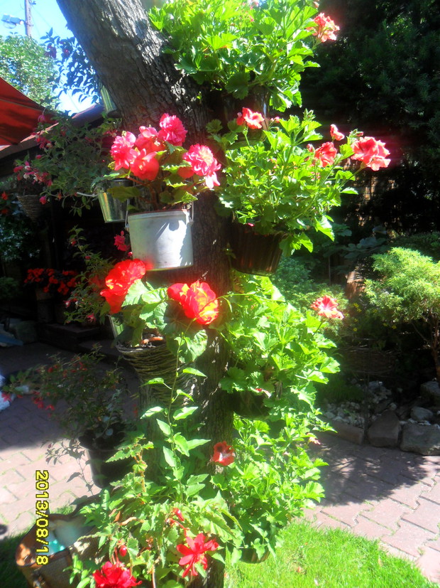 takiego efektu się spodziewalam