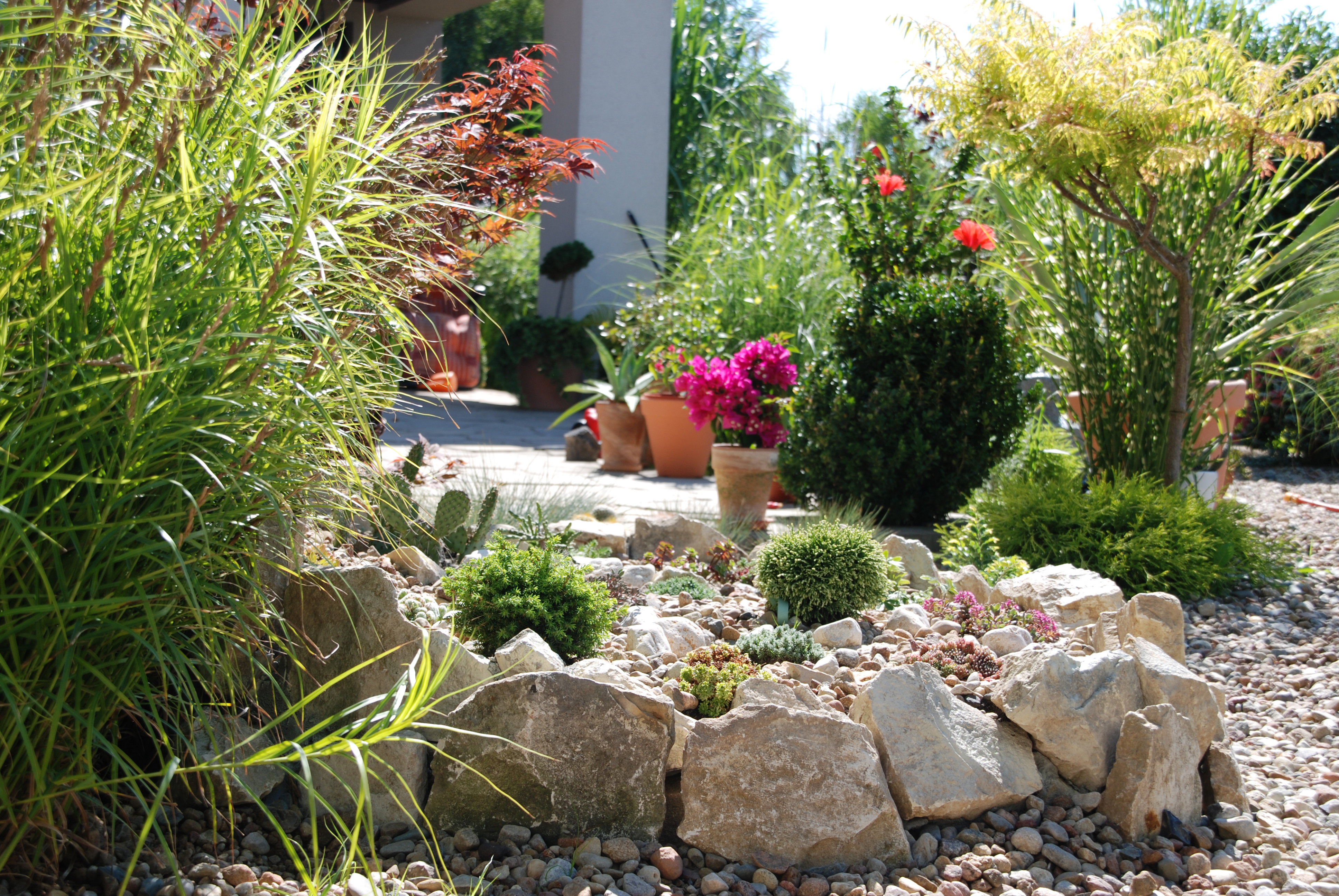 taras w stylu południowym zdobią m.in egzotyczne trawy i skalniak z rozchodnikami i kaktusami mrozoodpornymi