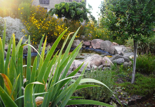 Trochę nieudane oczko wodne:)