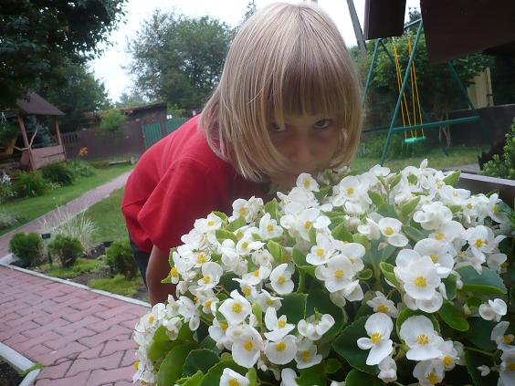 w całym ogrodzie jest pachnąco
