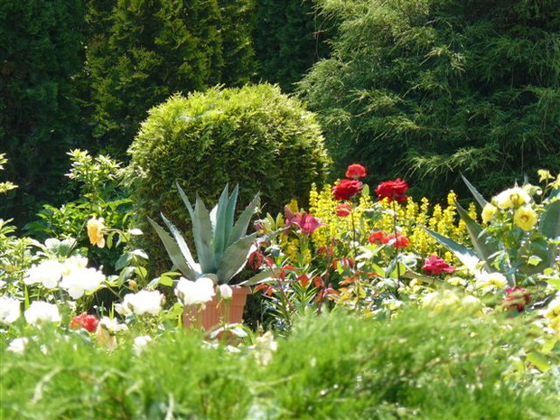 W malowniczym kąciku kawowym...