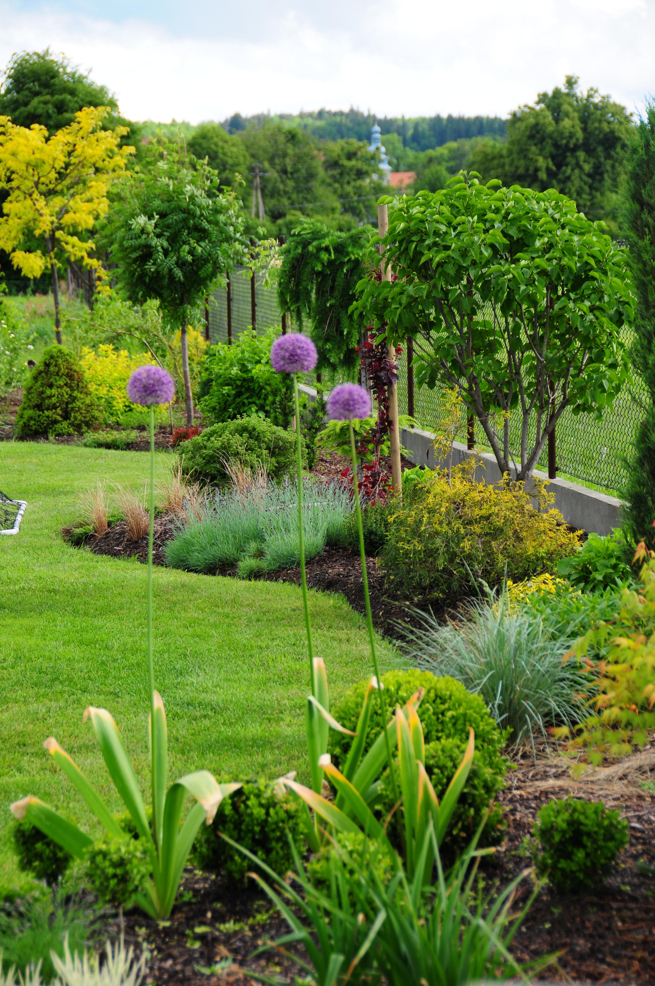 W tle wieża zabytkowego kościoła w Górkach Wielkich
