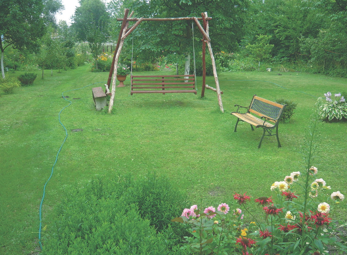 Wąż umieszczamy tak, aby dostarczał odpowiednią ilość wody całej murawie.