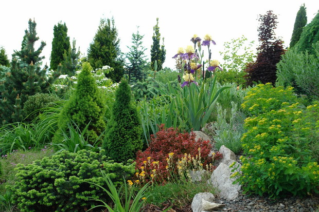 Wiosenne barwy w ogrodzie