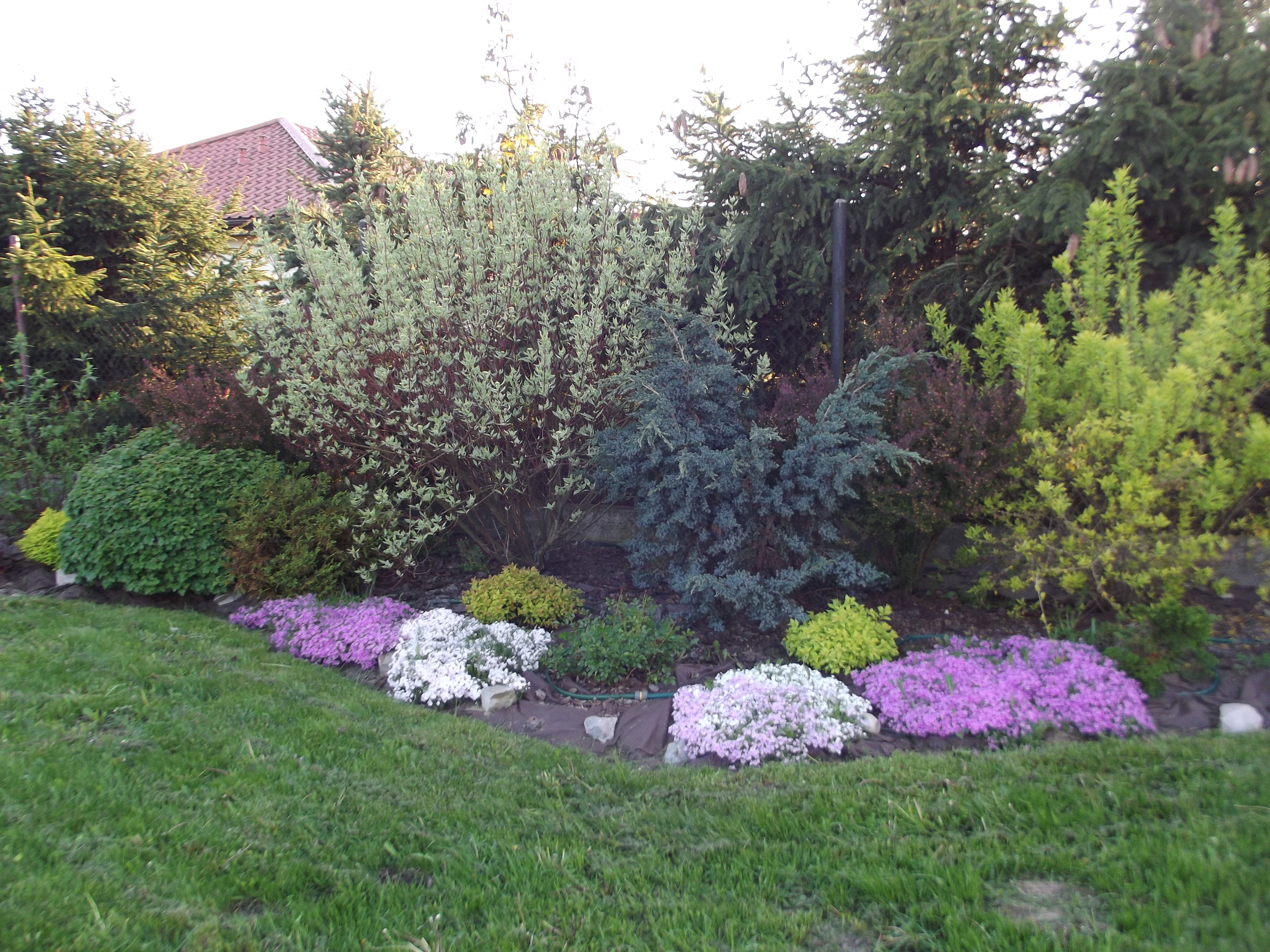 Wiosna wita kolorami.