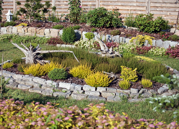 Wrzosy a wdali rododendrony