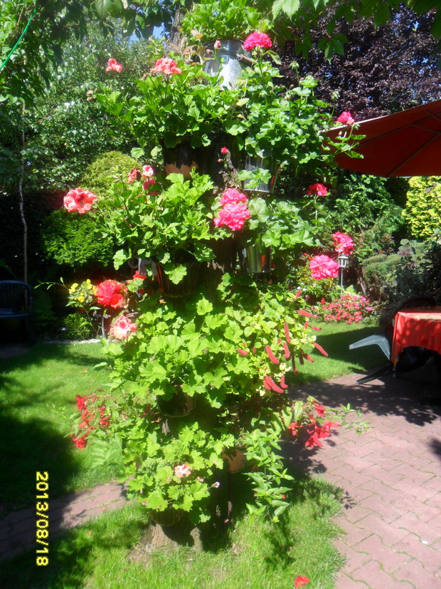 z tej strony już nie widac