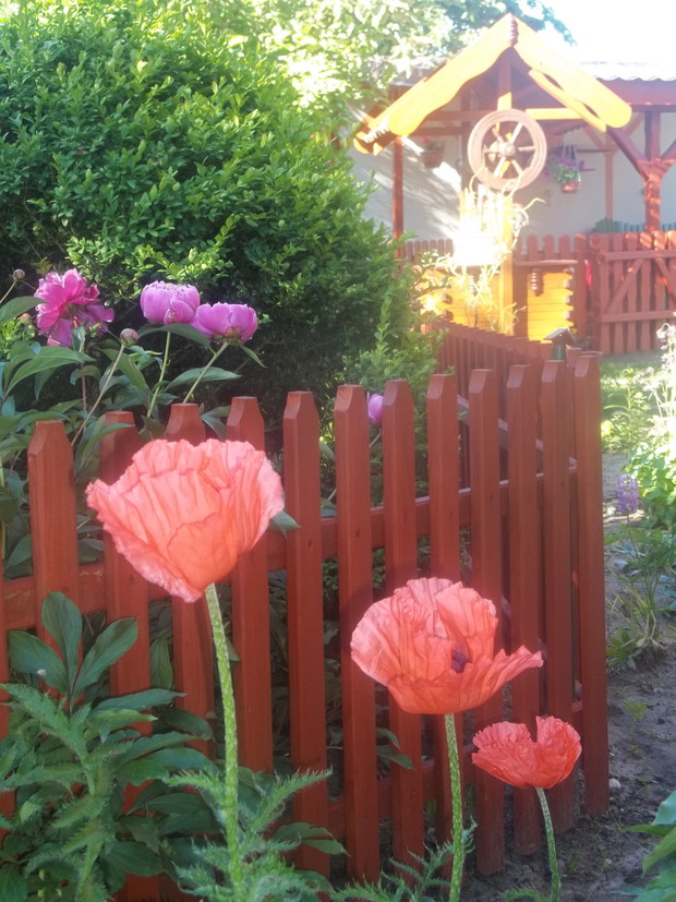 zaczyna się nowy dzień