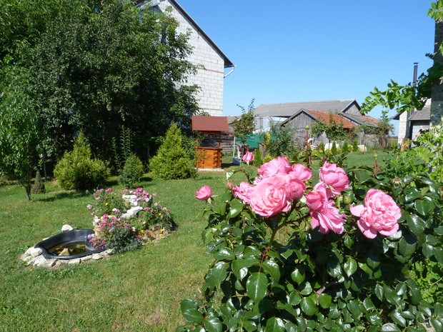 Zapach, który rozpływa się w oczku.