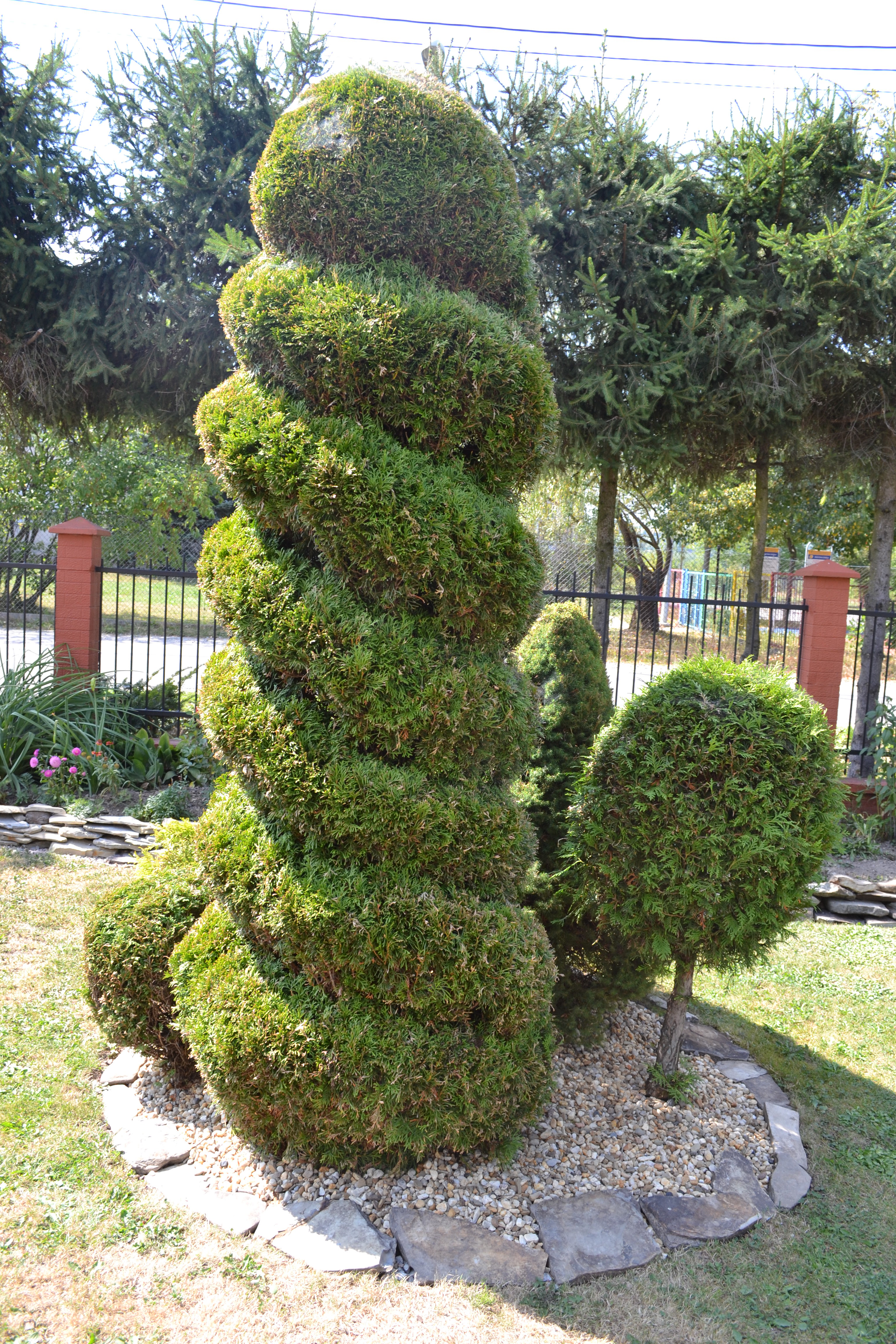 Zdjęcie to przedstawia ekspozycję wykonaną z żywotników,są one uformowane w różne wymyślone przeze mnie formy.