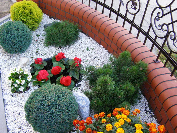 Cyprysiki i kosodrzewina witają w otoczeniu begonii i aksamitek