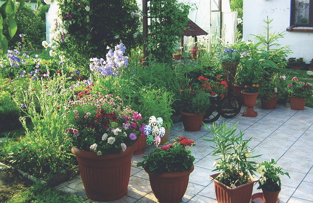 Część roślin rośnie w donicach, tworząc śródziemnomorski klimat.