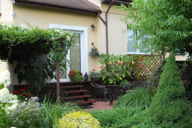 Datury roztaczają w okół przyjemny zapach.