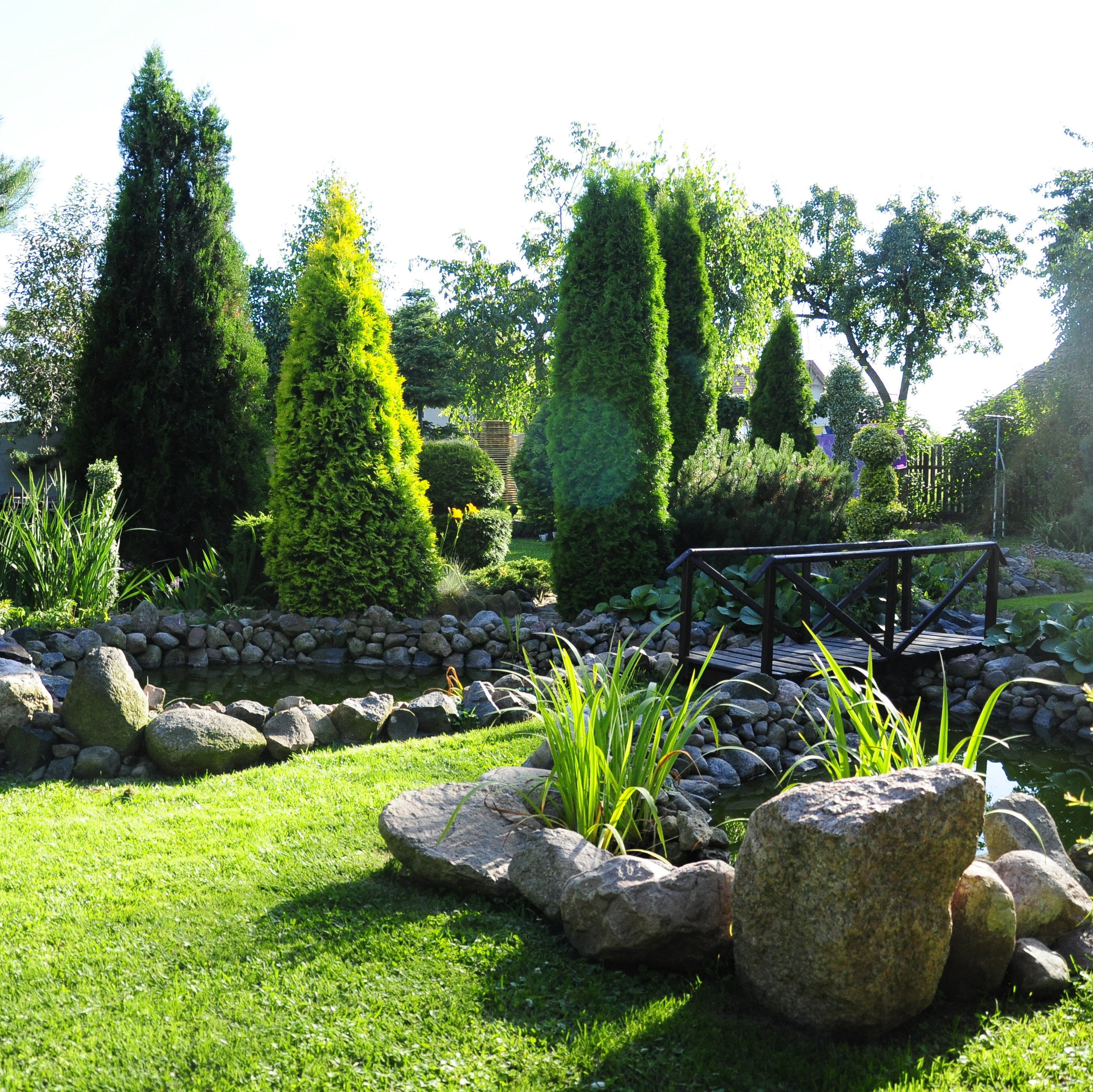 Dookoła oczka wodnego