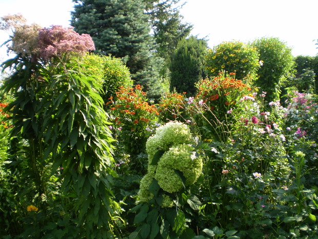 Dzielżany, hortensja, szadziec