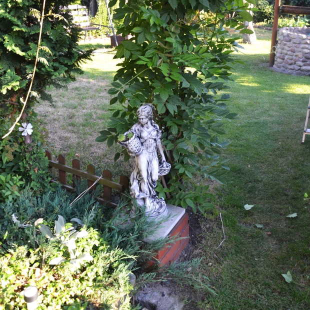 Figurka przy wisterii. 