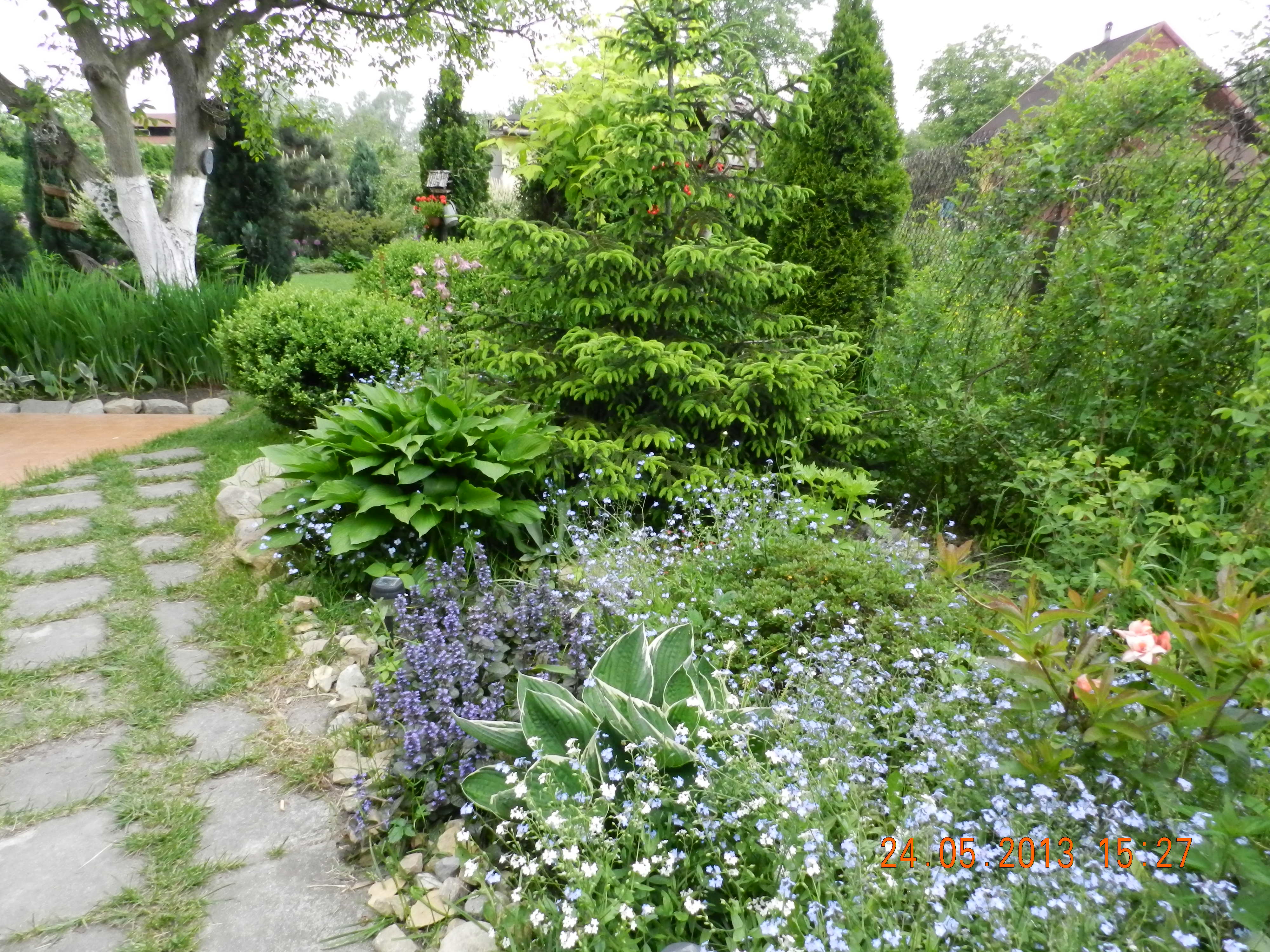 Furtkę otwieram i zapraszam do mojego zielonego królestwa