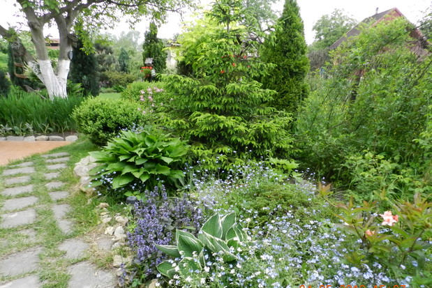 Furtkę otwieram i zapraszam do mojego zielonego królestwa