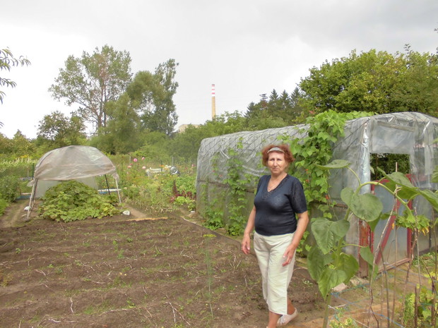 Ja a w tle folia. Pod jedną pomidory i ogórki a pod drugą ogórki.