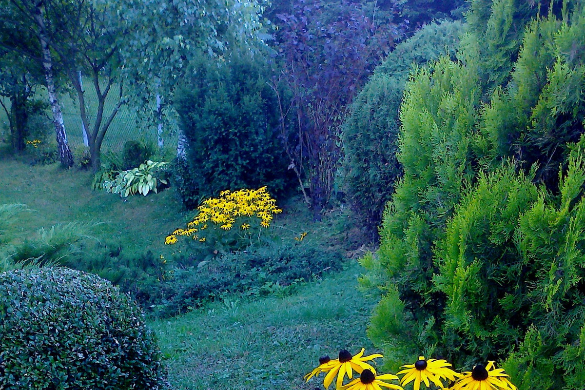 Jesienny przedogródek