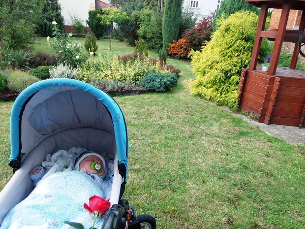 Kajetan uwielbia drzemki w ogrodzie