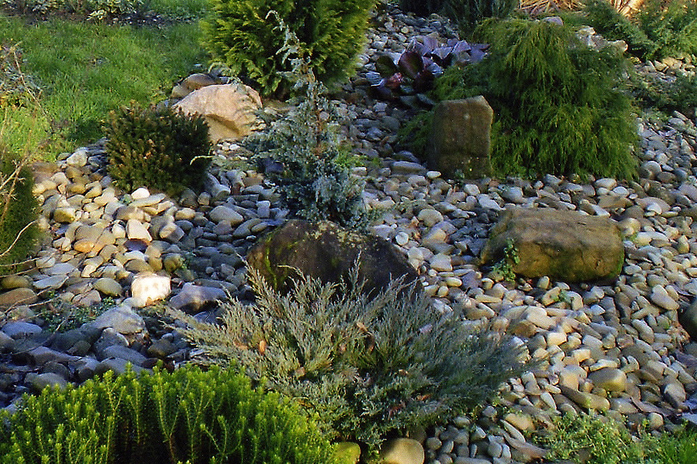 „Kamienna rzeka tworzy efektowne zakola wśród iglaków”, pisze Ewa Maria Stańdowicz.