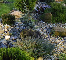 „Kamienna rzeka tworzy efektowne zakola wśród iglaków”, pisze Ewa Maria Stańdowicz.